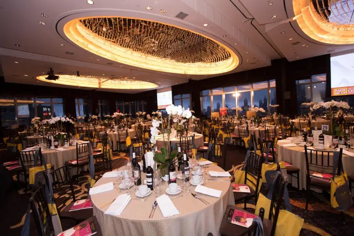2015 “Raise Me Up” Gala, photo 1